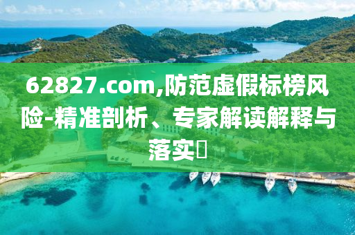 62827.com,防范虚假标榜风险-精准剖析、专家解读解释与落实